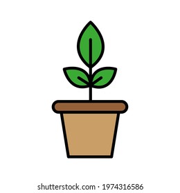 Plant in the pot vector illustration