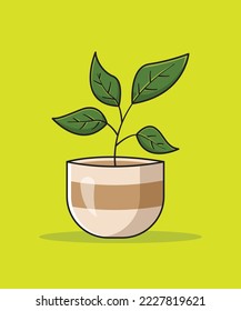 plant in the pot vector illustration