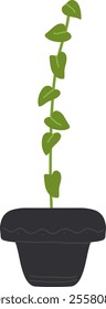 Plant In Pot Vector Illustration