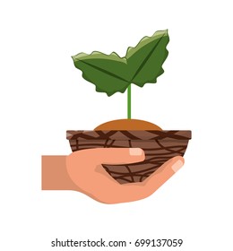 Plant in pot vector illustration