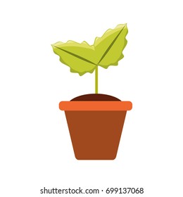Plant in pot vector illustration