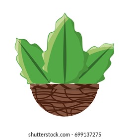 Plant in pot vector illustration