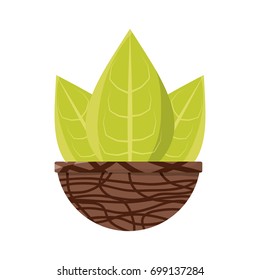 Plant in pot vector illustration