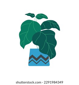 Plant in pot vector illustration. Cartoon flat different indoor potted decorative houseplants for interior home or office decoration.