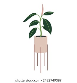 Plant in pot vector illustration. Cartoon flat different indoor potted decorative houseplants for interior home or office decoration, green garden floral collection icons isolated on white