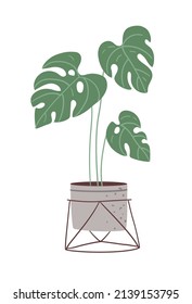 Plant in the pot. Vector illustration in a flat style.