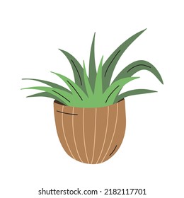 Plant pot. Vector illustration of flower in a pot