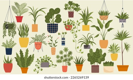 Plant in pot vector illustration flowerpots set. Cartoon flat different indoor potted decorative houseplants for interior home or office decoration, green garden floral collection isolated