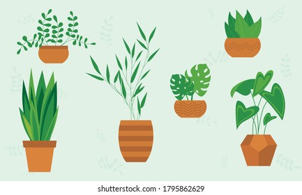 Plant in pot vector illustration set, cartoon flat different indoor potted decorative house plants for interior home or office decoration isolated. Collection of different house indoor garden plants.