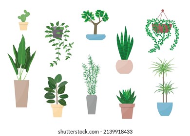 Planta en conjunto de ilustración vectorial de la olla. Caricatura planas diferentes macetas interiores decorativas plantas para hogar interior