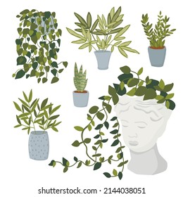 Planta en el conjunto de ilustraciones vectoriales de la olla, maceta plana diferente en el interior para la decoración de la casa o de la oficina set.ion, íconos de colección floral de jardín verde aislados en blanco. Cactus