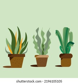 Plant in pot vector illustration set.