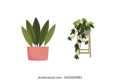 Plant in pot vector illustration set. Cartoon flat different indoor potted decorative houseplants for interior home or office decoration