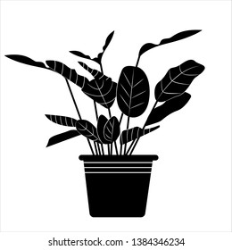 Plant in a pot. Vector illustration in simple style black color. For web, icon, design. Isolated illustration on white background.