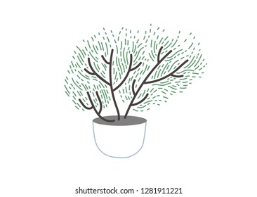 Plant in pot vector illustrations design