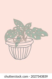 Plant Pot vector line Art 