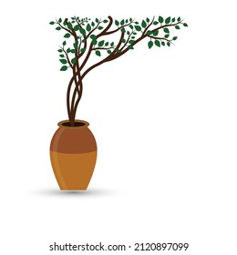 Plant in a pot, vector on white background