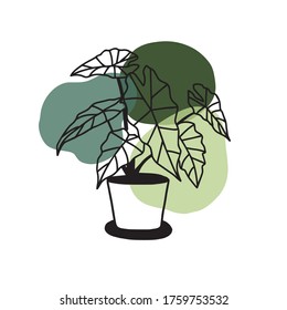 ็House Plant in pot. Vector poster design.