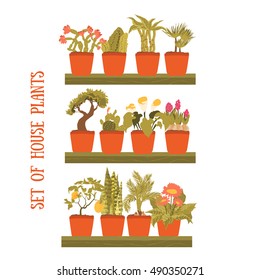 Plant in a pot vector set, decorative element for home decor. Isolated plant collection.