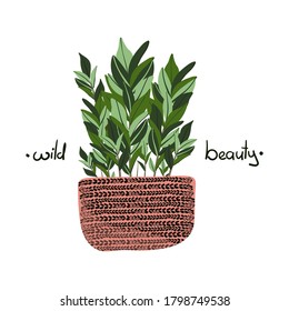 Plant in pot vector stock illustration with stylish lettering - wild beauty. Tropical plant, modern and elegant home decor print design. House plants isolated on white background.