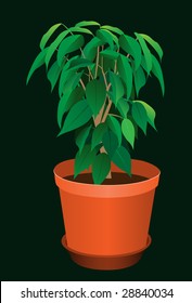 Plant in a pot. Vector. Without mesh.