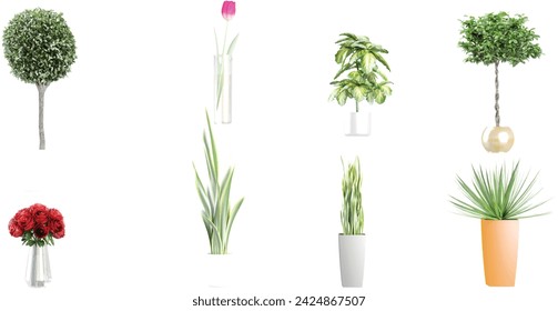 Plant in pot.pink tulip in a glass vase.Fresh branchy,Dracaena trifasciata,pachira,Dasylirion,pine ball,rose plant isolated on white background