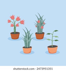 Plant Pots Design Simple Flat Vector