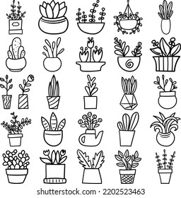 Plant Pots Hand Drawn Doodle Line Art Outline Set Containing plant pot, plant pots, flower pot, container, jar, pot, urn, flower holder, vase, carafe, sprout