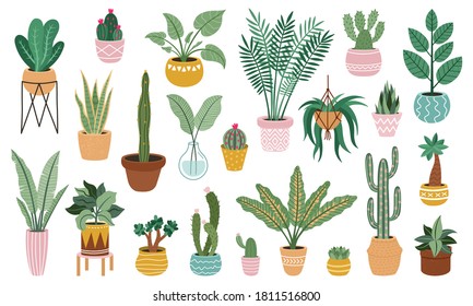 Plant in pots. Home potted plants, flower house plants, ficus, cacti and succulents, indoor decorative plants isolated vector illustration set isolated on white. Green leaves and prickly cactus