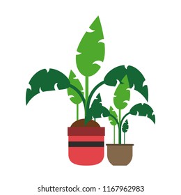 Plant pots isolated