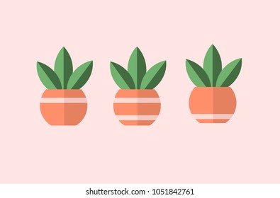 Plant in pots with lines. 3 different vectors, simple designs.