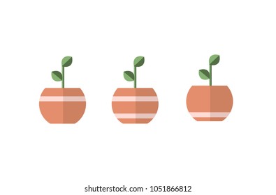 Plant in pots with lines. 3 different vectors, simple designs.
