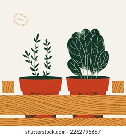 Plant pots with thyme and spinach in a wooden box. Kitchen herbs. Vector illustration