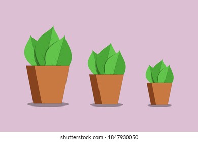 plant pots vector design illustration