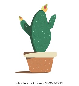 Ilustración vectorial de plantas y macetas