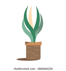 Ilustración vectorial de plantas y macetas