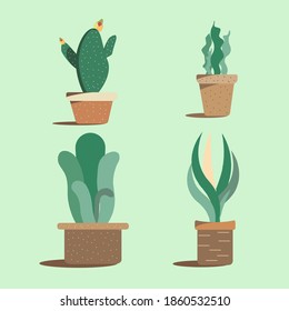 Plant and pots vector illustration