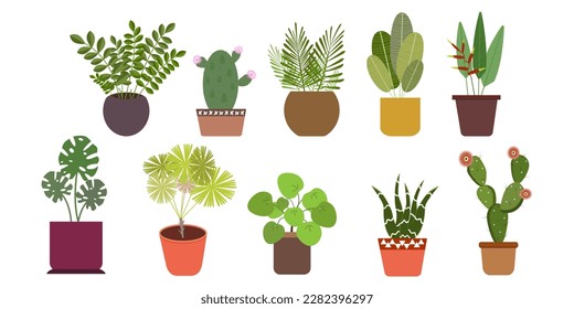 Plant in pots vector illustration set.  10 Cartoon style flat images isolated on white background. For posters, stickers, temporary tattoo, fabric print 