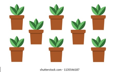 Plant in pots wallpaper