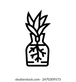 plant propagation urban gardening line icon vector. plant propagation urban gardening sign. isolated contour symbol black illustration