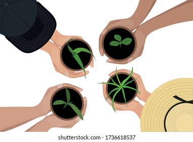Plant protection against diseases. Food security of the population. Crops: wheat, rice, corn, sunflower. Vector image.
