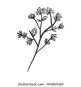 plant with ramifications and flowers