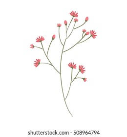 plant with ramifications and flowers