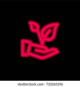 Plant red glowing neon ui ux icon. Glowing sign logo vector