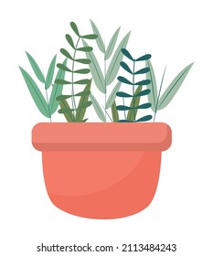 planta en olla roja sobre blanco