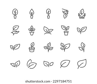 iconos de línea relacionados con plantas. Conjunto de objetos lineales vectoriales. 24x24 Pixel Perfecto con trazo editable