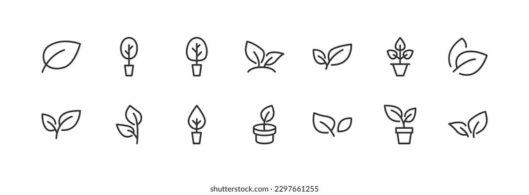 plant related line icons. Vector linear object set. 24x24 Pixel Perfect with editable stroke