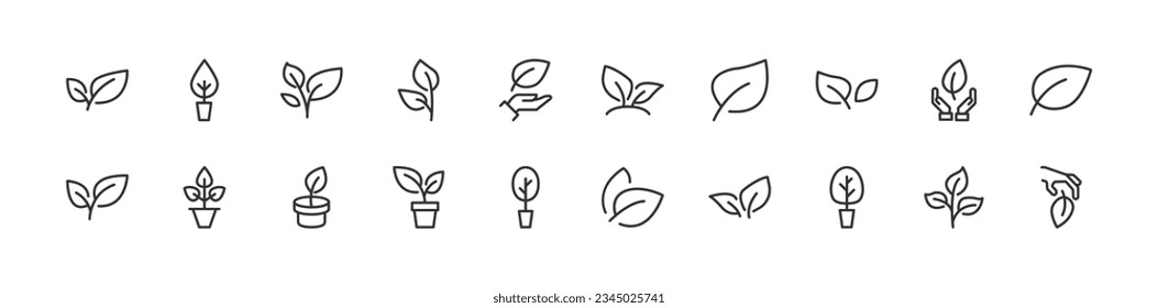 plant related line icons. Vector linear object set. 24x24 Pixel Perfect with editable stroke