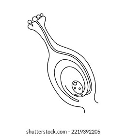 Plant reproductive system. Educational diagram with stamen and pistil structure. Outline, hand drawn illustration on white background.