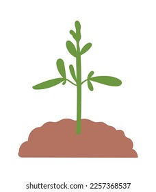 Plant in rich soil flat icon Plants planting. Vector illustration